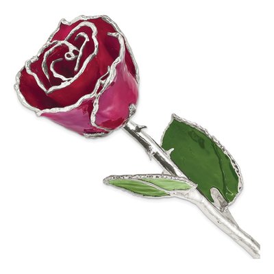 Burgundy Lacquer Dipped Real Rose with Silver Trim