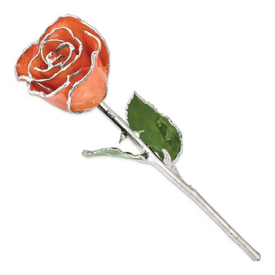 Orange Lacquer-Dipped Real Rose with Silver Trim – view 2