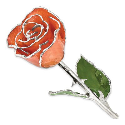 Orange Lacquer-Dipped Real Rose with Silver Trim