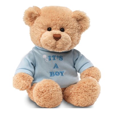 Gund IT'S A BOY Blue Plush Teddy Bear Gift