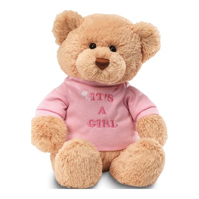 Gund IT'S A GIRL Pink Plush Teddy Bear Gift