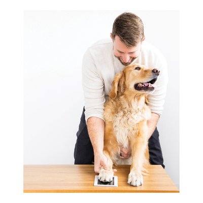 Clean-Touch Pet Safe Ink Pad for Paw Prints – view 2