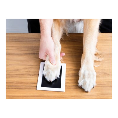 Clean-Touch Pet Safe Ink Pad for Paw Prints – view 3