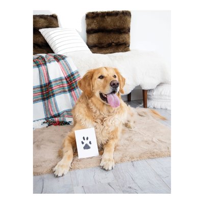 Clean-Touch Pet Safe Ink Pad for Paw Prints – view 5
