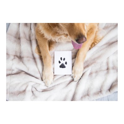 Clean-Touch Pet Safe Ink Pad for Paw Prints – view 7