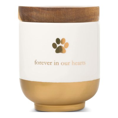 Forever in Our Hearts Pet Memory Jar