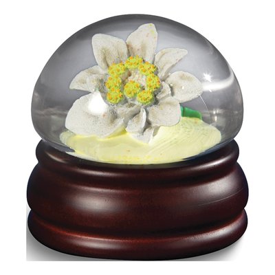 Edelweiss Flower Musical Water Globe