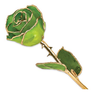 Lacquer Dipped Gold-Trimmed Apple Green Rose Gift