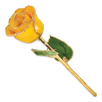 Lacquer Dipped Real Rose with Gold Trim – view 2