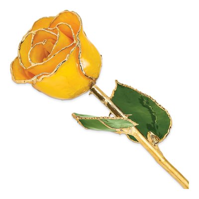 Lacquer Dipped Real Rose with Gold Trim