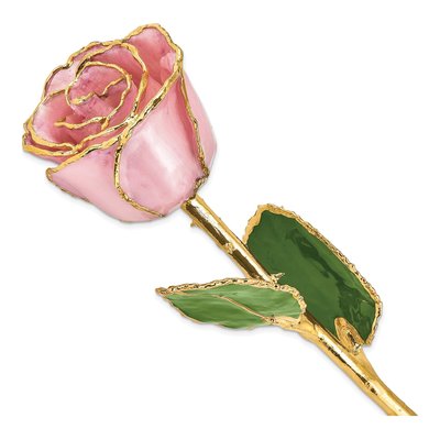 Lacquer Dipped Real Rose with Gold Trim