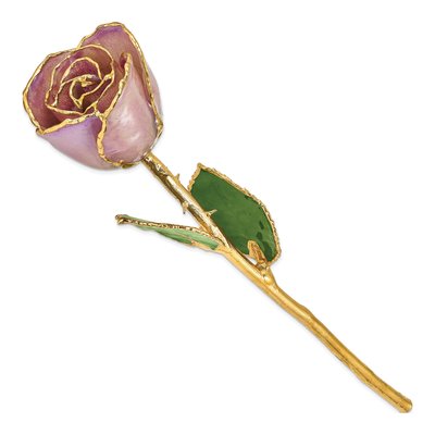 Lacquer Dipped Lavender Real Rose – view 2