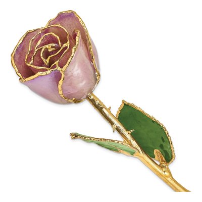 Lacquer Dipped Lavender Real Rose