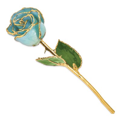 Aquamarine Blue Real Rose with Gold Trim – view 2