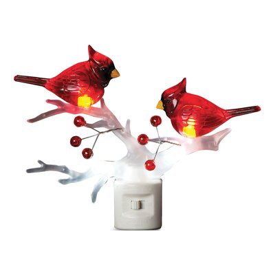 Two Cardinals on Branch Night Light