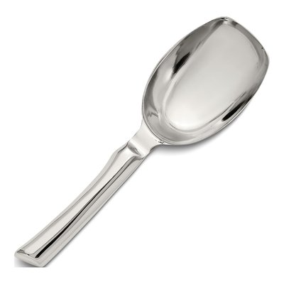Stainless Steel Ice Scoop, Engravable Gift