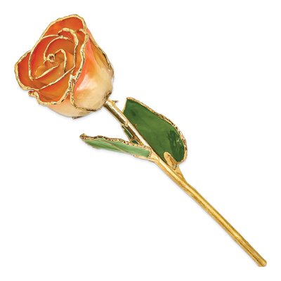Gold-Trimmed Real Rose – view 2