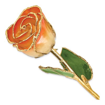 Gold-Trimmed Real Rose