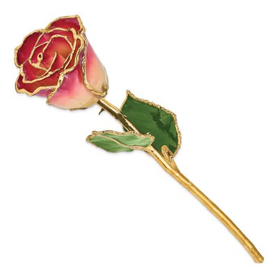 Real Rose with 24K Gold Trim – view 2