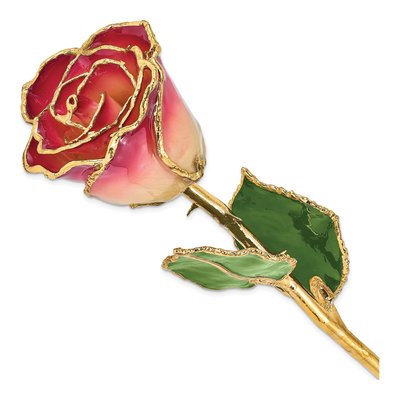 Real Rose with 24K Gold Trim