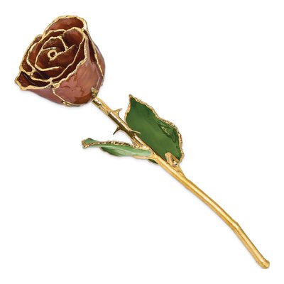 Gold-Trimmed Real Rose Keepsake – view 2