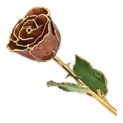 Gold-Trimmed Real Rose Keepsake