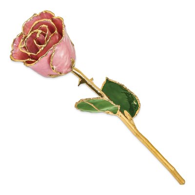 Dusty Pink Real Rose with 24K Gold Trim – view 2