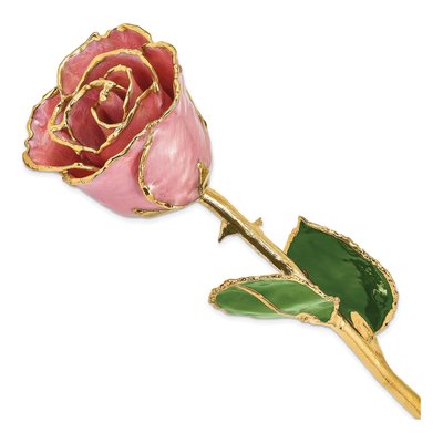 Dusty Pink Real Rose with 24K Gold Trim