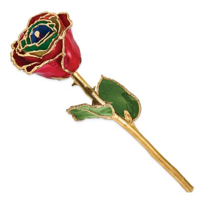 Lacquer Dipped Rainbow Real Rose with Gold Trim – view 2