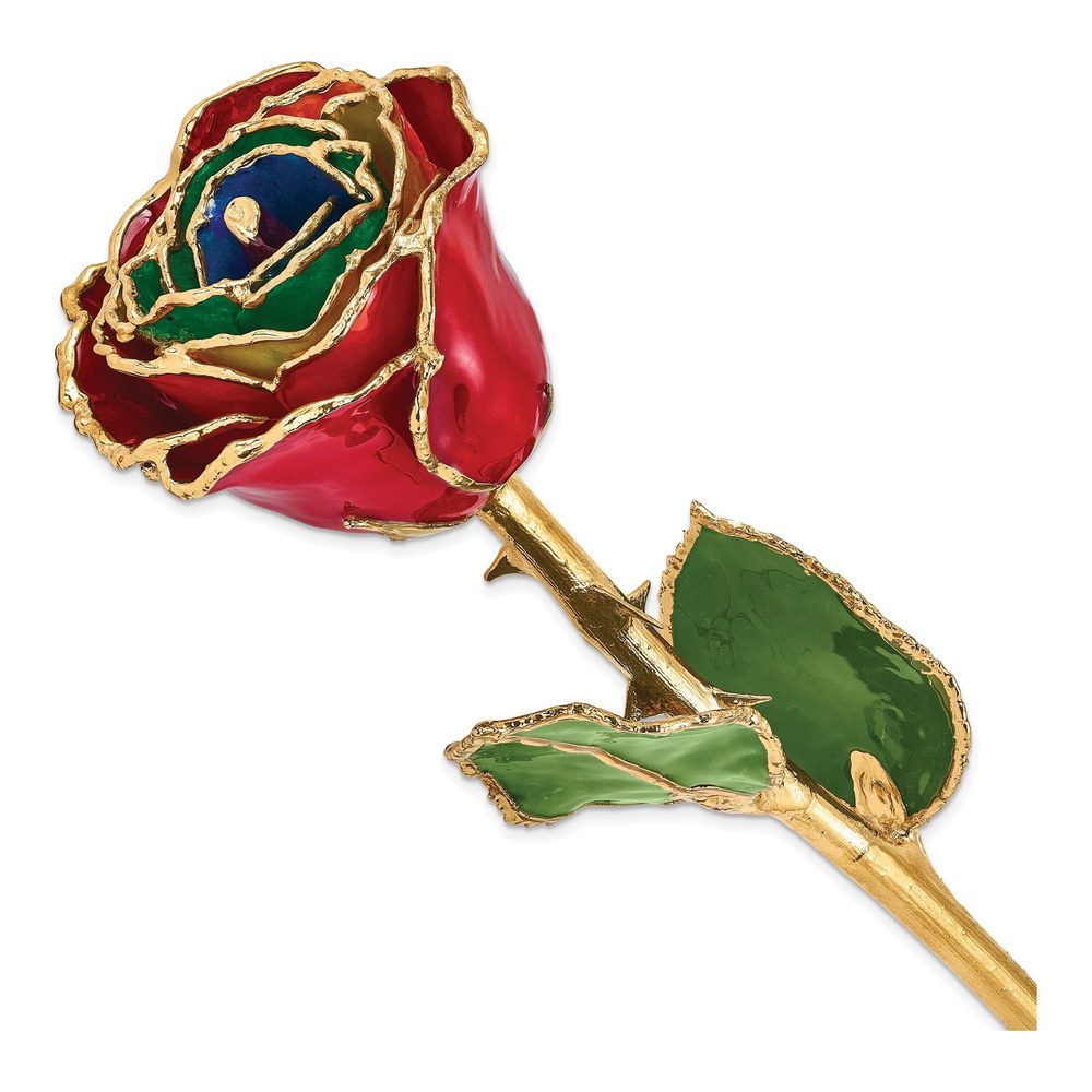 Lacquer Dipped Rainbow Real Rose with Gold Trim
