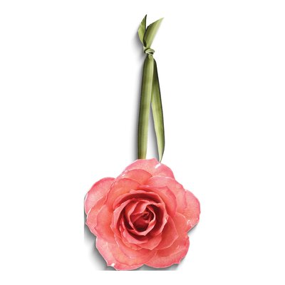 Lacquer Dipped Pink Real Rose