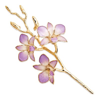 Lacquer Dipped Real Orchid Stem, Gold Trim