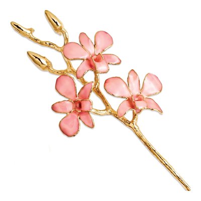 Gold-Trimmed Pink Real Orchid Stem