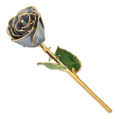 Real Rose Dipped in Silver Tone with Gold Trim – view 2