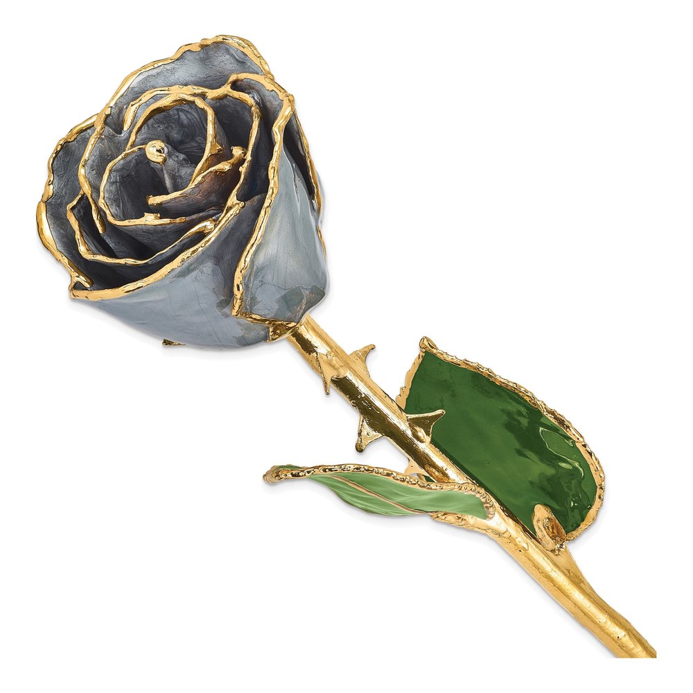 Real Rose Dipped in Silver Tone with Gold Trim