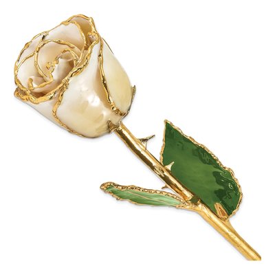 Real Preserved Rose, 24K Gold Trim