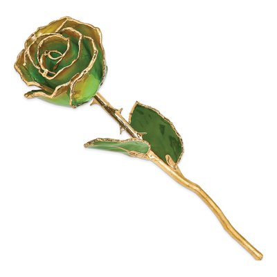 Peridot/Orange Real Rose, 24K Gold-Trimmed Gift – view 2