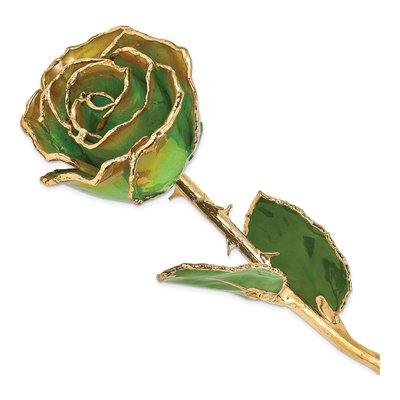 Peridot/Orange Real Rose, 24K Gold-Trimmed Gift