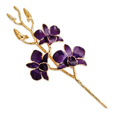 Purple Dendrobium Orchid Stem