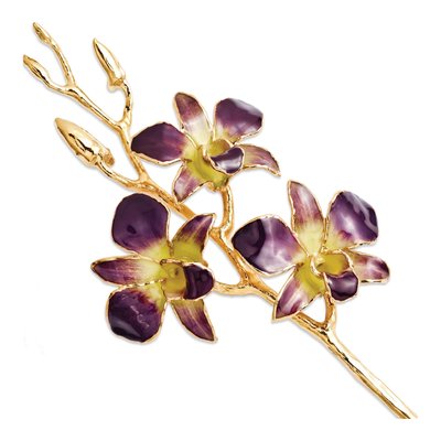 Real Orchid Stem, Lacquer Dipped & Gold Trimmed