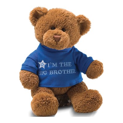 Gund I'm the Big Brother Plush Bear Gift