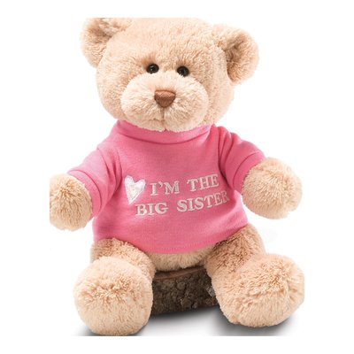 GUND Pink I'm The Big Sister Plush Bear Gift