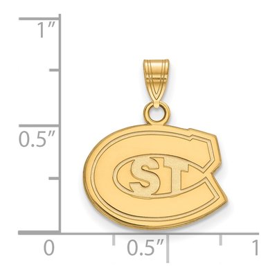 St. Cloud State University Gold-Plated Sterling Silver Small Pendant – view 2