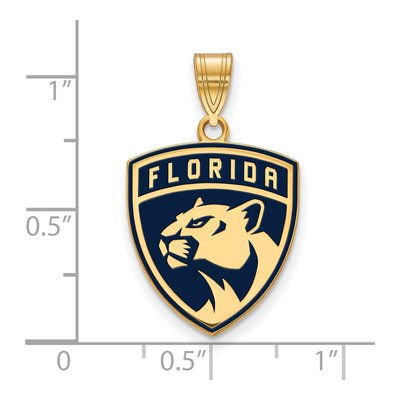 Florida Panthers Gold-Plated Sterling Silver Large Enamel Pendant – view 2