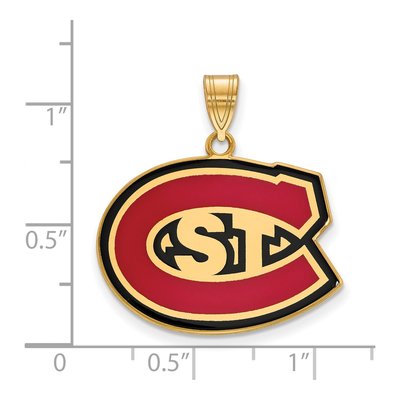 St. Cloud State University Gold-Plated Sterling Silver Large Enameled Pendant – view 2
