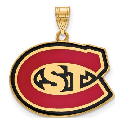 St. Cloud State University Gold-Plated Sterling Silver Large Enameled Pendant