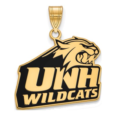 University of New Hampshire Gold-Plated Sterling Silver Large Enameled Pendant