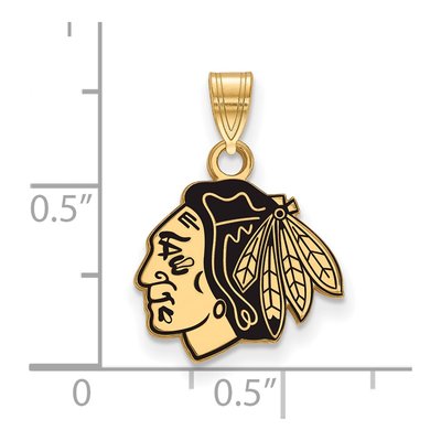 Chicago Blackhawks Gold-Plated Sterling Silver Small Enameled Pendant – view 2
