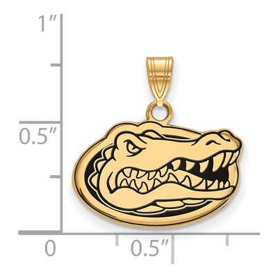 University of Florida Gold-Plated Sterling Silver Gators Small Enameled Pendant – view 2