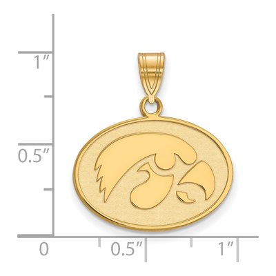 University of Iowa Gold-Plated Sterling Silver Medium Hawk Oval Pendant – view 2
